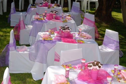Chair covers and Table cloths in any color